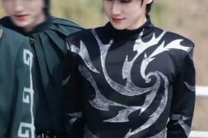 精彩图片集锦：视觉盛宴一览
