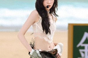 宋妍霏《浪姐6》再提自热锅事件，网友质疑其解释