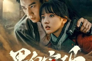 《黑白密码》：王子奇卧底惊险，悬疑情感交织