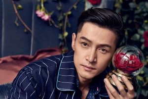 胡歌不婚背后：母亲干预与三段无果恋情